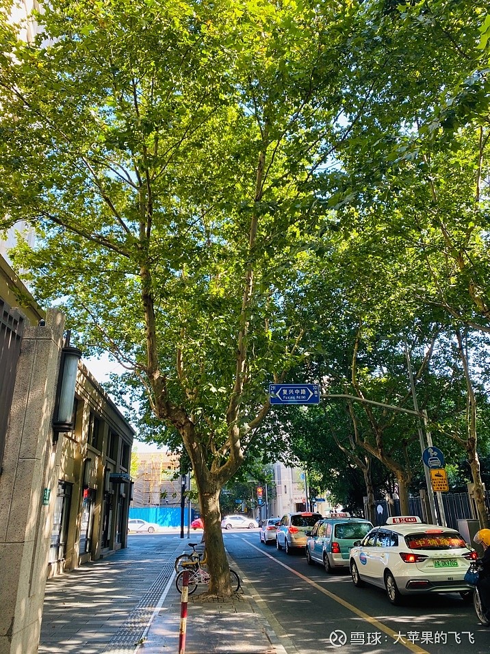 梧桐阅读苹果版(梧桐小说app下载)-第4张图片-QuickQ官网