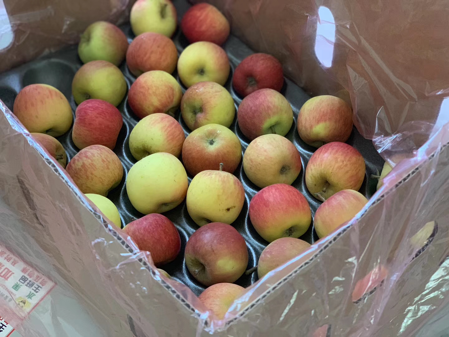 小版苹果(小版苹果手机)-第5张图片-QuickQ官网 小版苹果(小版苹果手机)-第5张图片-QuickQ官网