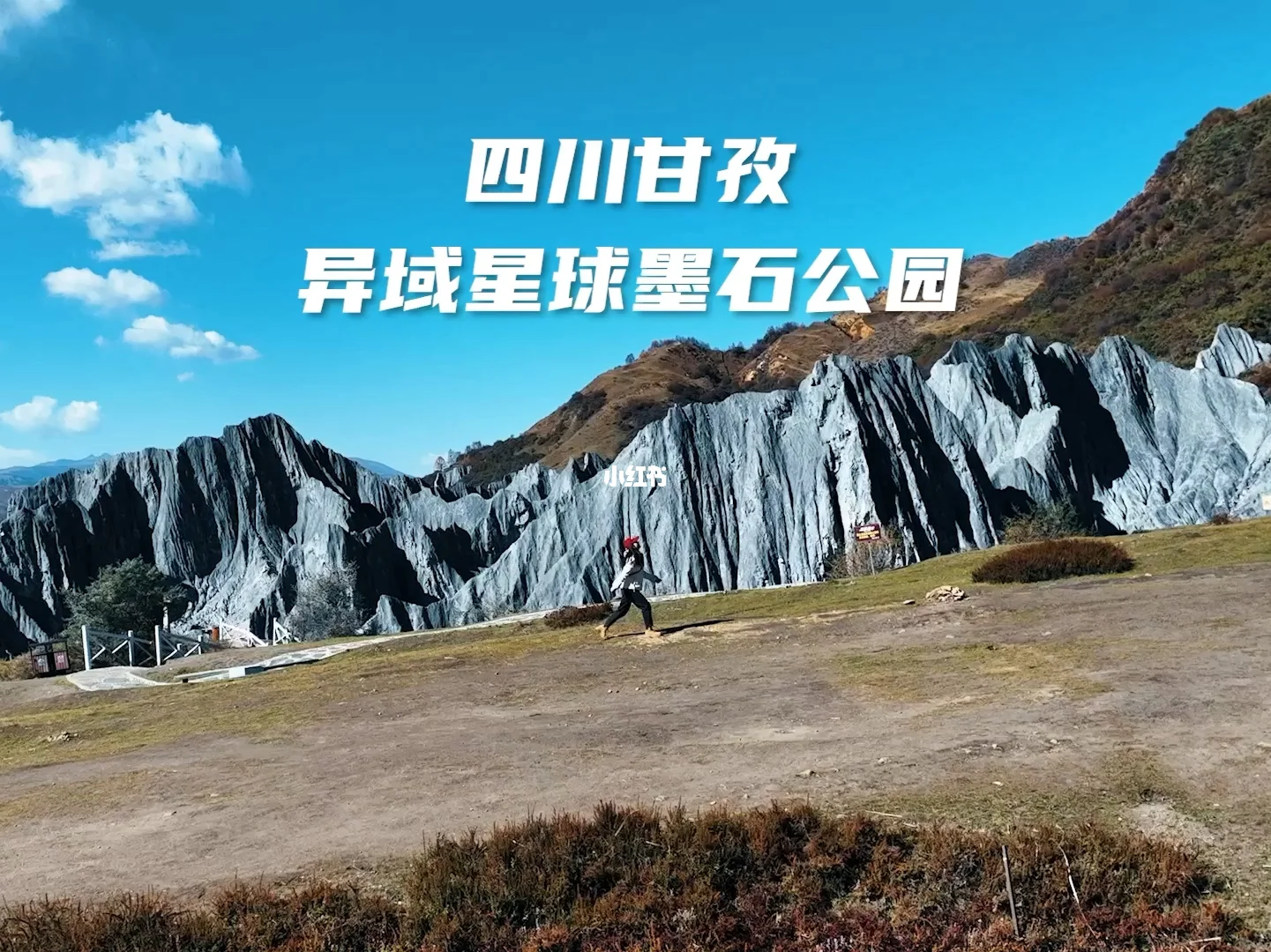 异域星球手机版下载(异域星球手机版下载安装)-第5张图片-SafeW 异域星球手机版下载(异域星球手机版下载安装)-第5张图片-SafeW