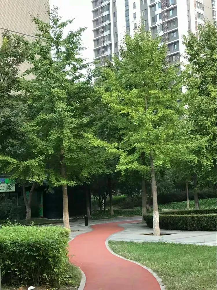 如何升级美丽家园手机版(如何升级美丽家园手机版下载)-第5张图片-SafeW