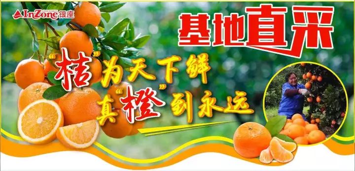 直橙下载手机版(冰橙直播app下载安装)-第5张图片-SafeW
