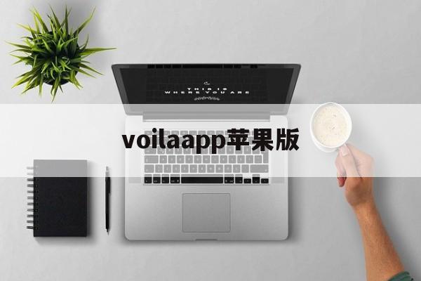 voilaapp苹果版(中文版voila下载安装)