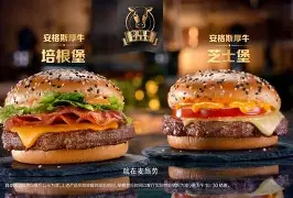 手机麦当劳汉堡版(麦当劳汉堡99元)-第2张图片-QuickQ官网